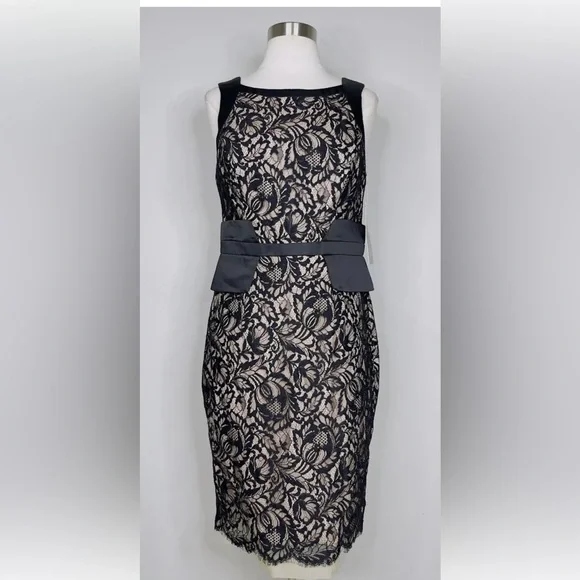 Theia | Dresses | Theia Cocktail Lace Dress Style 88577 Size 8 | Poshmark